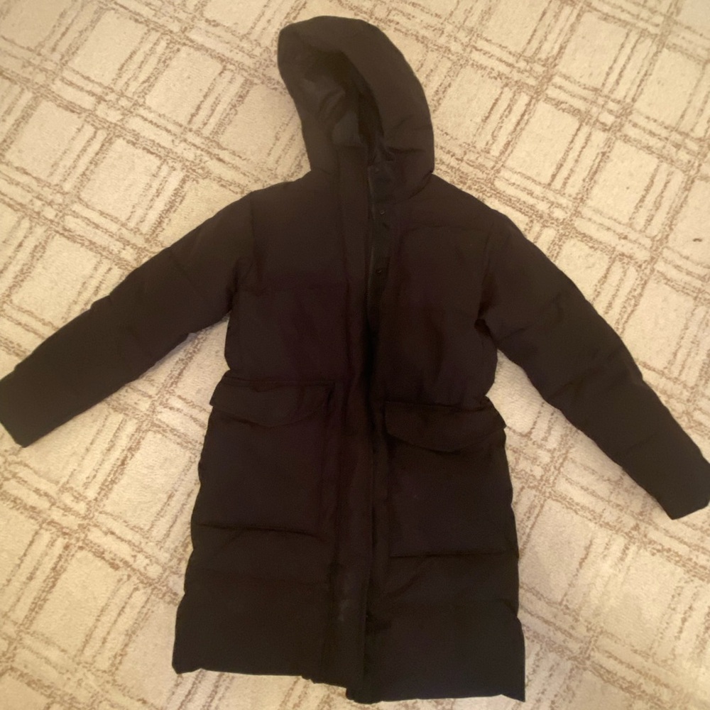 Everlane Hooded Puffer Coat